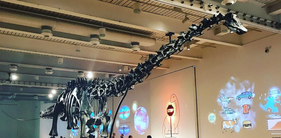 Dippy on tour at Great North Museum: Hancock
