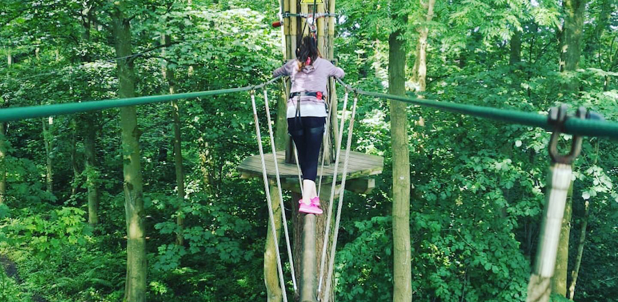 Go Ape Matfen treetop challenge
