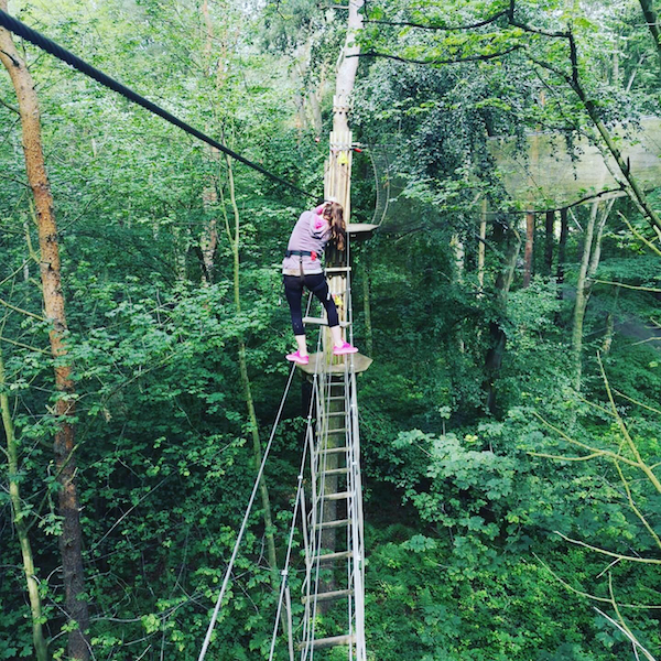 Go Ape Matfen tree challenge