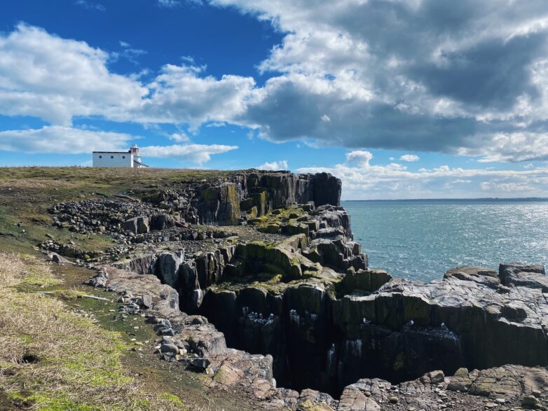 Puffin spotting on the Farne Islands