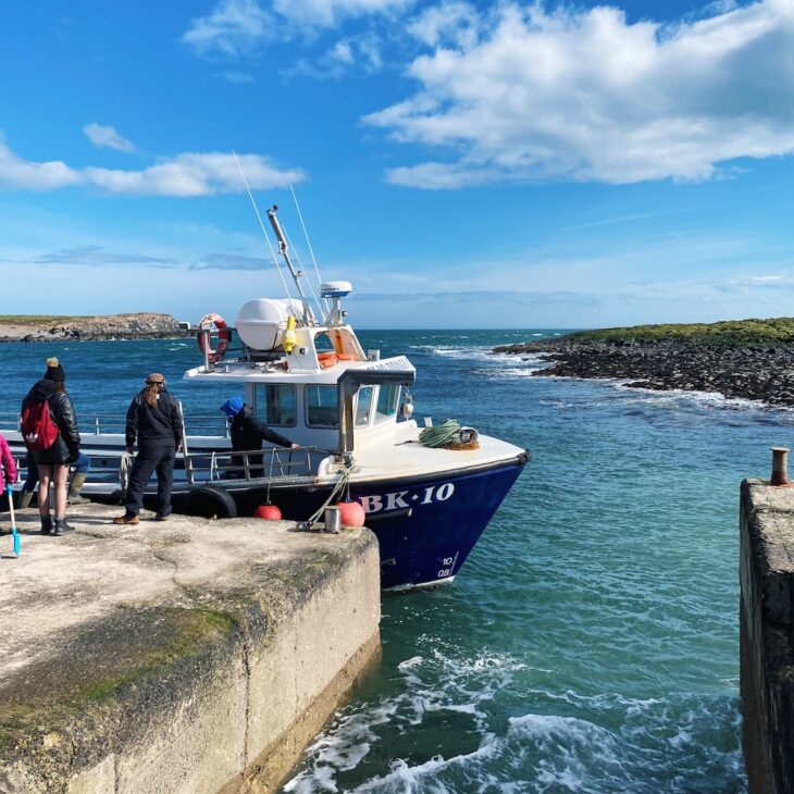 Farne Islands boat trip