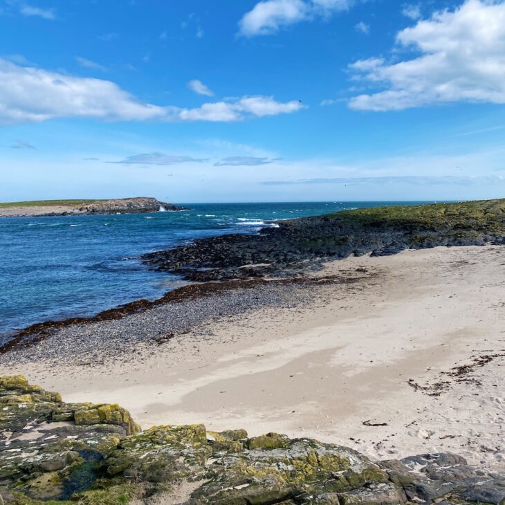 Inner Farne beach