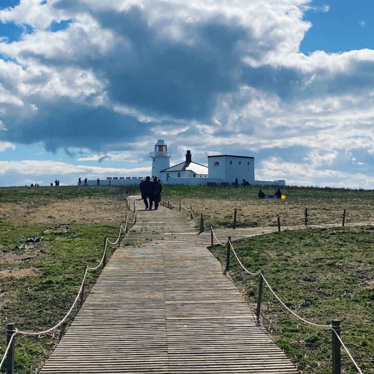 Inner Farne boardwalk