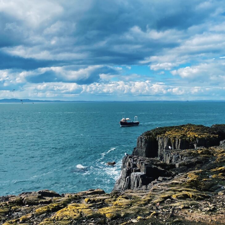 Inner Farne island