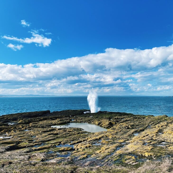 Inner Farne landscape