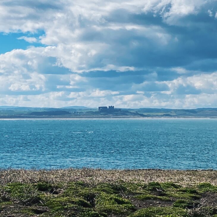 Inner Farne views