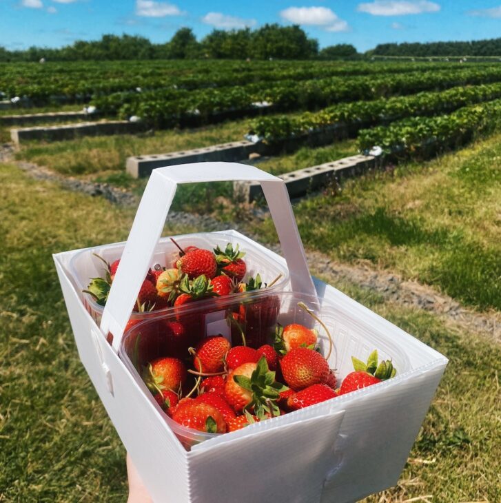 Strawberry basket