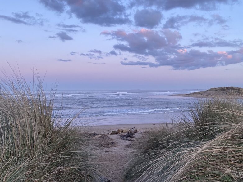 15 of the best beaches within 90 minutes of Newcastle