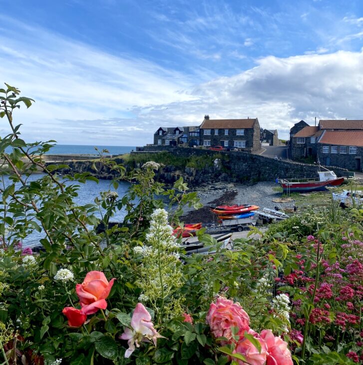 Craster harbour