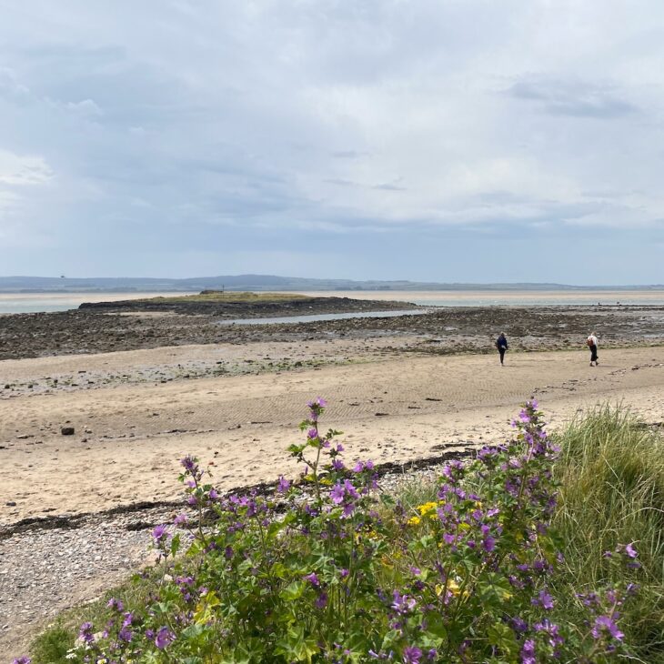 Holy Island beach