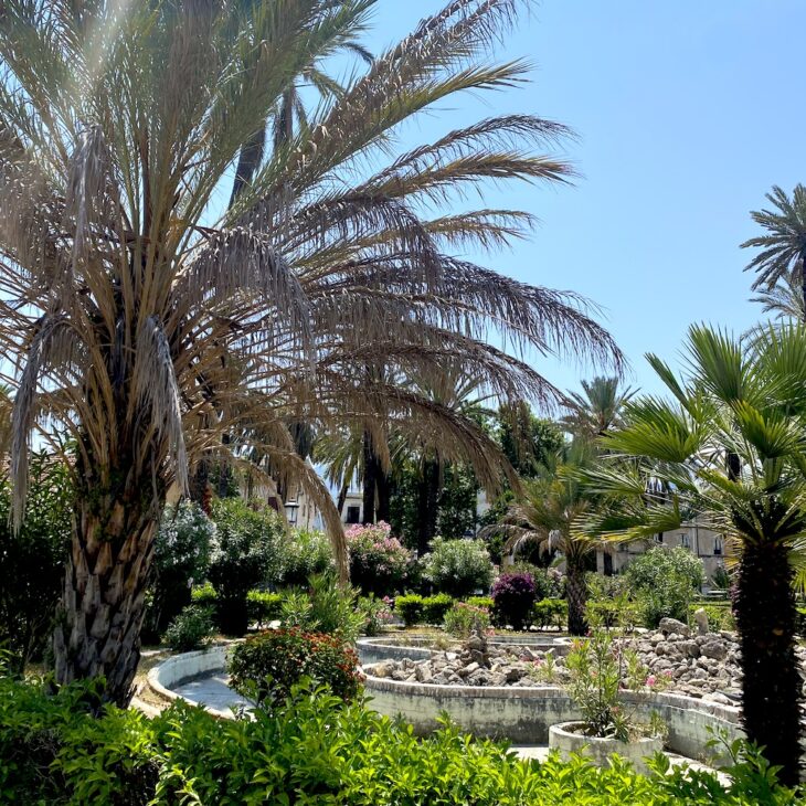 Palermo gardens