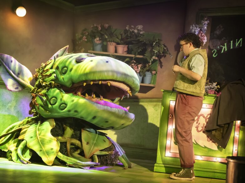 Review: Little Shop of Horrors at Northern Stage