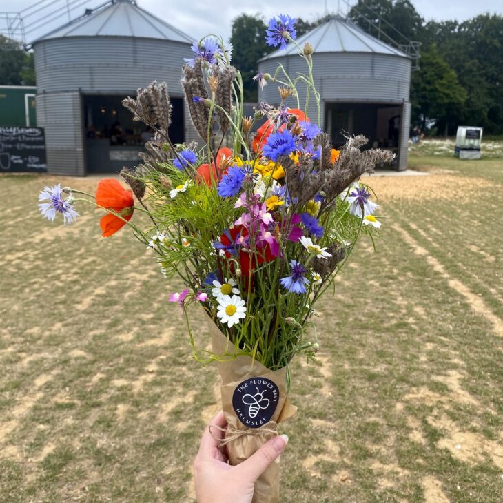 Flower Belt wildflowers